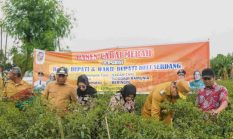 DPW A–PPI Sumut menyoroti Harga cabai anjlok menyentuh Rp.8.000 ribu . Ratusan petani Deli Serdang Rugi besar .