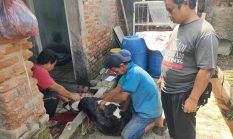 IWO Indramayu Blusukan Bagikan Daging Kurban, Sentuh Langsung Hati Warga di Hari Raya