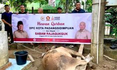 Sapi Kurban Sabam Rajagukguk Bawa Keberkahan di 8 Titik Sumatera Utara