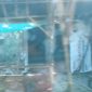 Oplus_131072